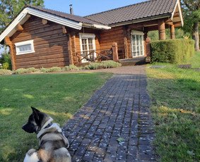 Rąstinė sodyba